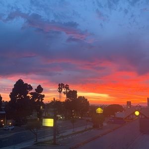 Meet your Posher, Mia